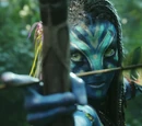 Hunting Arrow