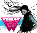 Whip My Hair (song)
