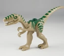 Coelophysis