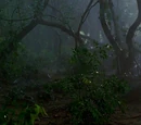 Territorio Oscuro