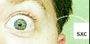 Sxc hu 120x60.gif