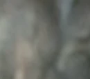 Fourth Age