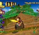 DK Mountain