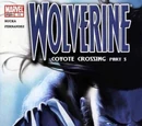 Wolverine Vol 3 Nº11