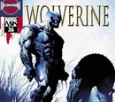 Wolverine Vol 3 Nº36