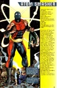 Atom Smasher 003.jpg