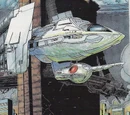 Icon's Starship