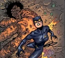 Gotham City Sirens Vol 1 16/Images
