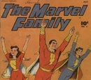 Marvel Family Vol 1 3