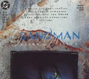 Sandman Vol 2 24