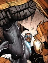Batwing 011.jpg