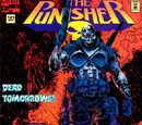Punisher Vol 2 101
