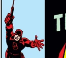 Daredevil Vol 1 43