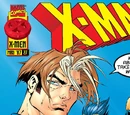 Brotherhood (Havok) (Earth-616)