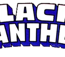 Black Panther Vol 1