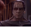 Mavek (Cardassian)