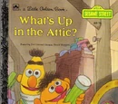 What's Up in the Attic?