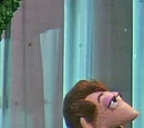 Bewitched, Bothered and Bewildered