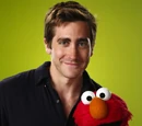 Jake Gyllenhaal