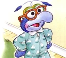 Gander