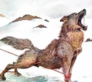 Fenrir