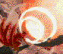 Hatake Uchiha