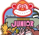 Donkey Kong Jr. (video game)