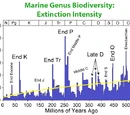 Cretaceous-Tertiary extinction event