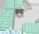 Cold Storage