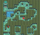Ilex Forest