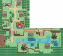 Icirrus City