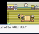 Magost Berry