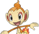 Chimchar