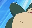 Snorlax Asha
