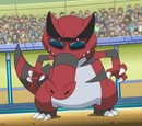 Krookodile Asha
