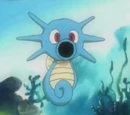 Horsea Misty