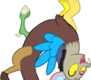 Y DISCORD