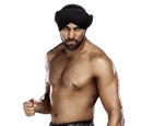 Tiger Raj Singh