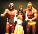The Mega Powers