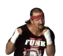Terry Funk