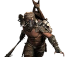 Jackal Clan
