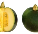 Gem squash