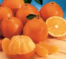 Mandarin orange