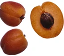 Apricot