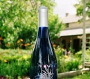 Champagne vinegar