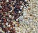 Spanish Quinoa