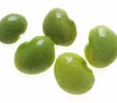 Lima bean