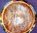 Bakewell Pudding