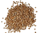 Coriander seed