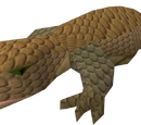 Desert Lizard